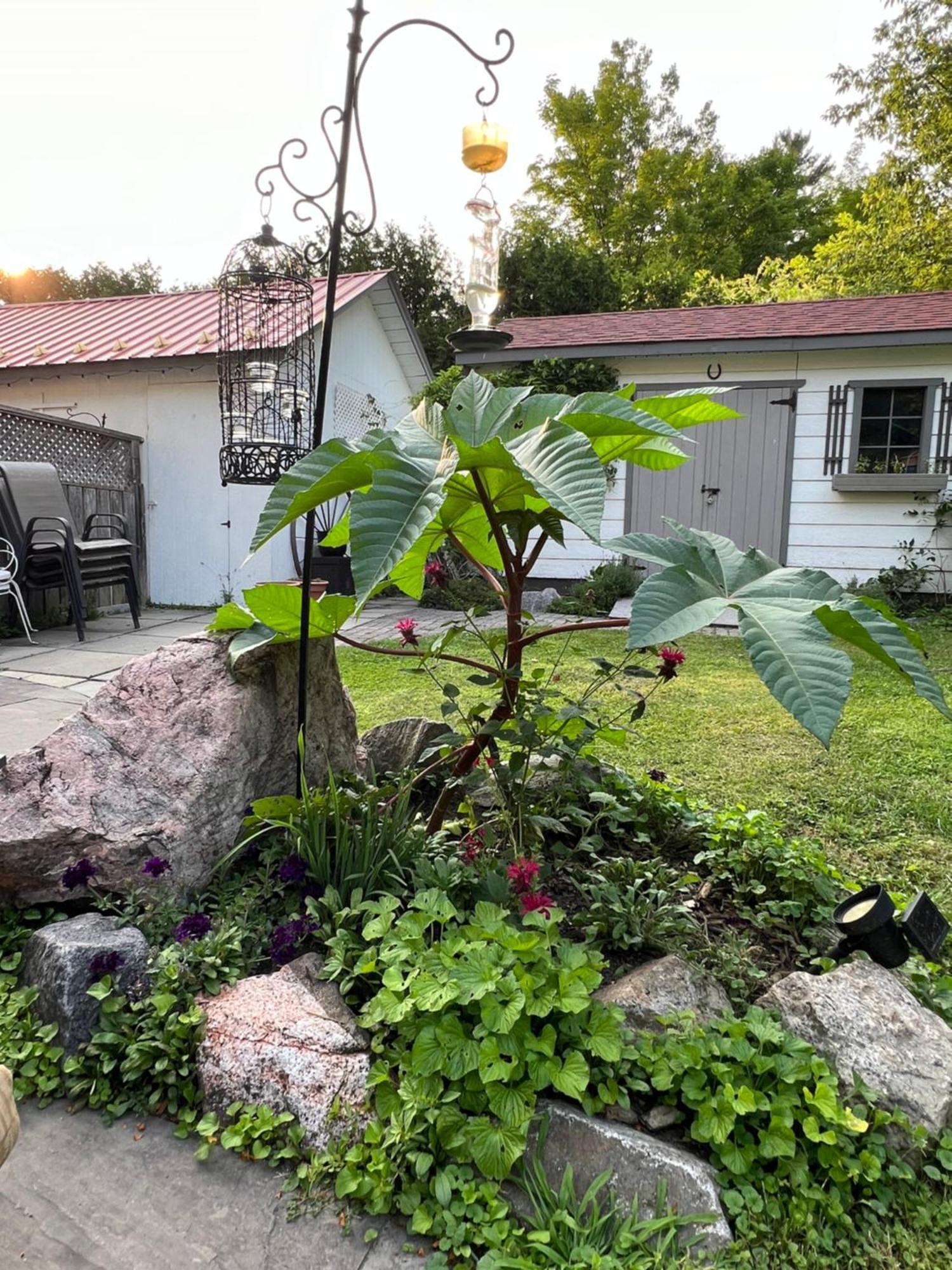 Les Trois Erables Boutique Inn 웨이크필드 외부 사진