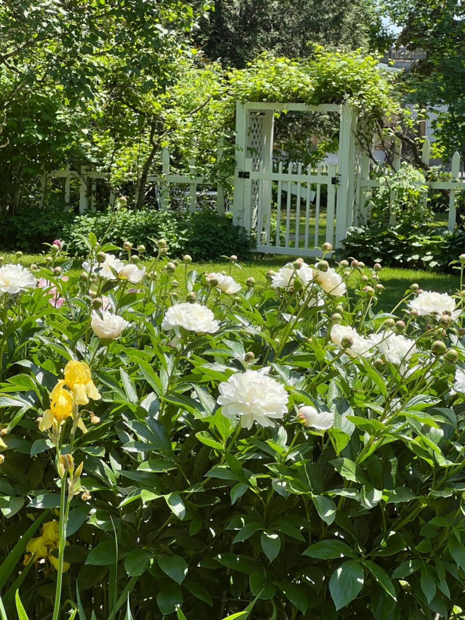 Les Trois Erables Boutique Inn 웨이크필드 외부 사진